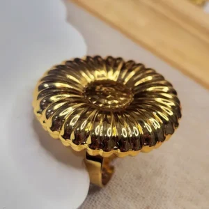 Alternative view of Ring Round Chunky M-L